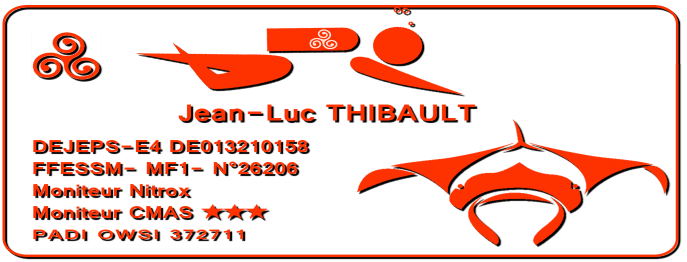 a propos-mon tampon de moniteur